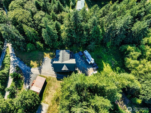 44806 SE 161st Pl, North Bend, WA 98045 - photo 39
