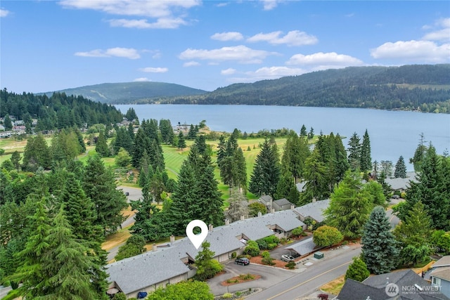 1 Morning Beach Dr Unit 38, Bellingham, WA 98229 - photo 1