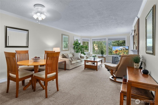 1 Morning Beach Dr Unit 38, Bellingham, WA 98229 - photo 10