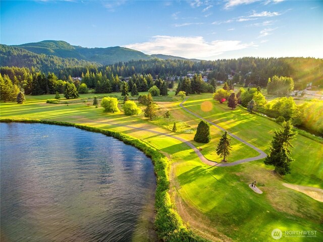 1 Morning Beach Dr Unit 38, Bellingham, WA 98229 - photo 32