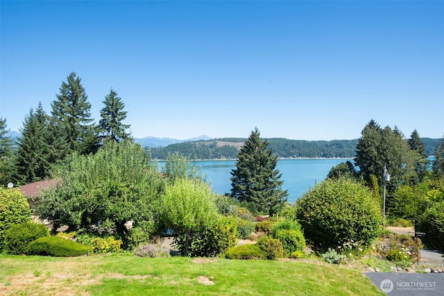200 E Main St, Union, WA 98592 - photo 2