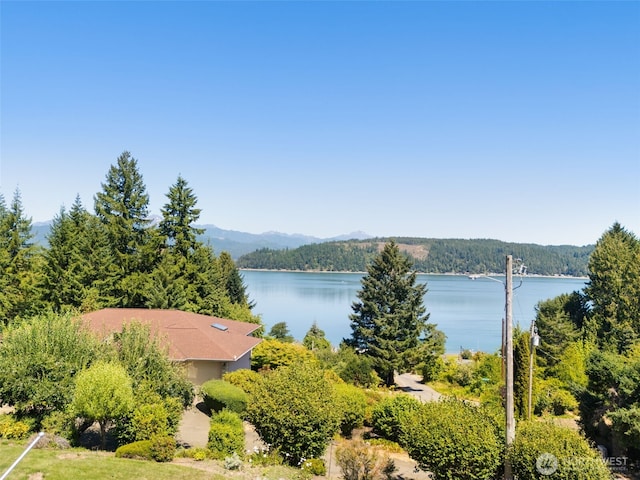 200 E Main St, Union, WA 98592 - photo 28