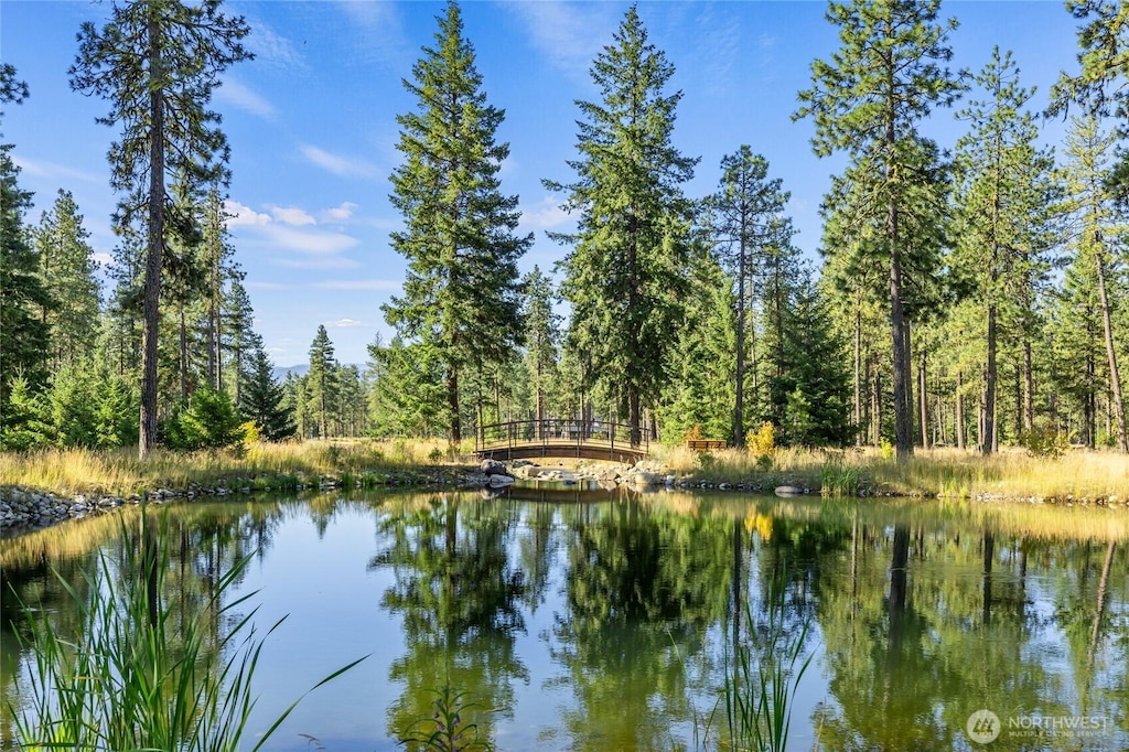 29 Wanawish Loop, Cle Elum, WA 98922 - photo 3