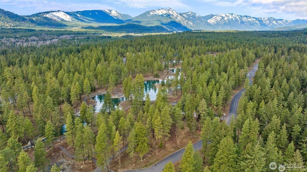 29 Wanawish Loop, Cle Elum, WA 98922 - photo 4