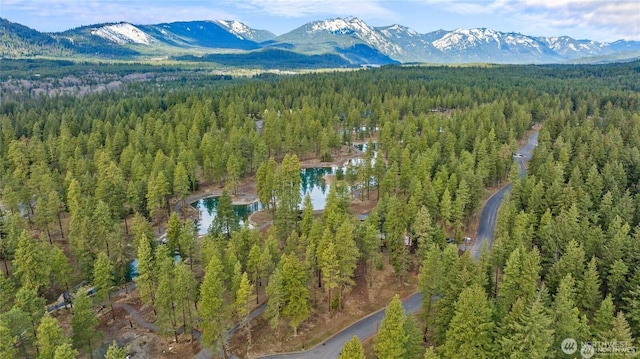 29 Wanawish Loop, Cle Elum, WA 98922 - photo 4