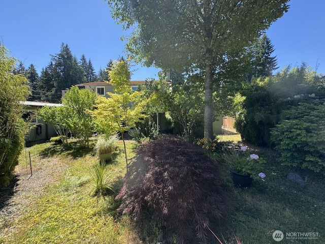 5412 Melody Dr SE, Lacey, WA 98503 - photo 6
