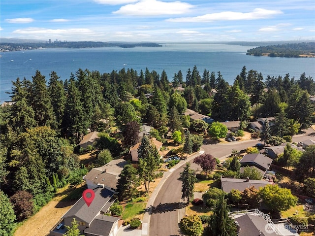 11514 84th Ave NE, Kirkland, WA 98034 - photo 3