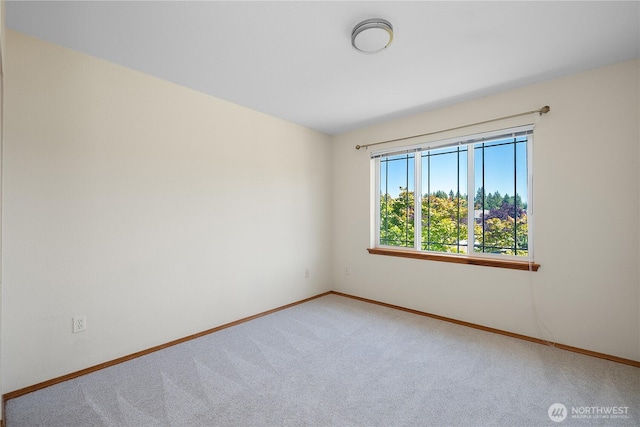 3320 Lady Fern Loop NW, Olympia, WA 98502 - photo 26