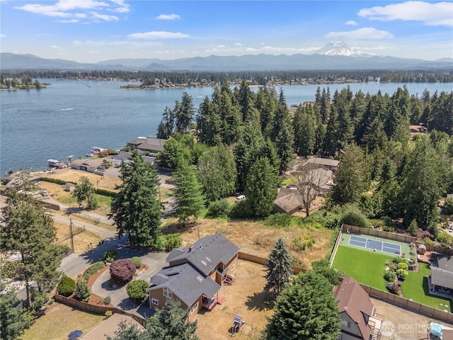 2006 Tacoma Point Dr E, Lake Tapps, WA 98391 - photo 37