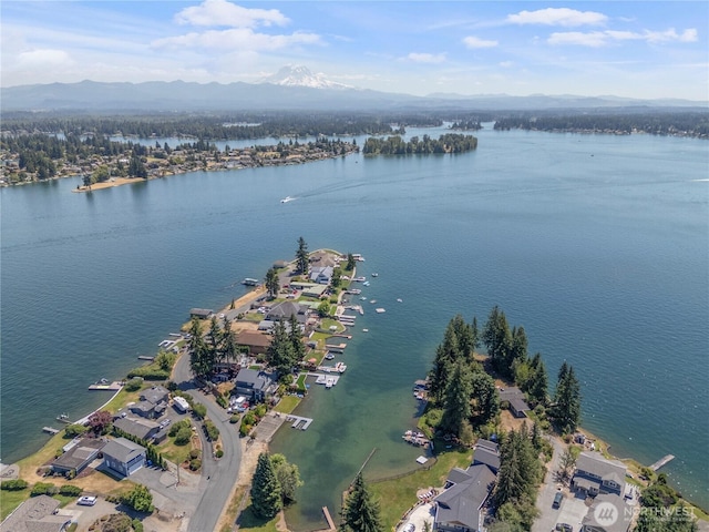 2006 Tacoma Point Dr E, Lake Tapps, WA 98391 - photo 5