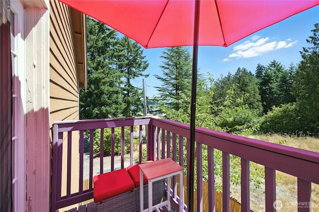 2006 Tacoma Point Dr E, Lake Tapps, WA 98391 - photo 24