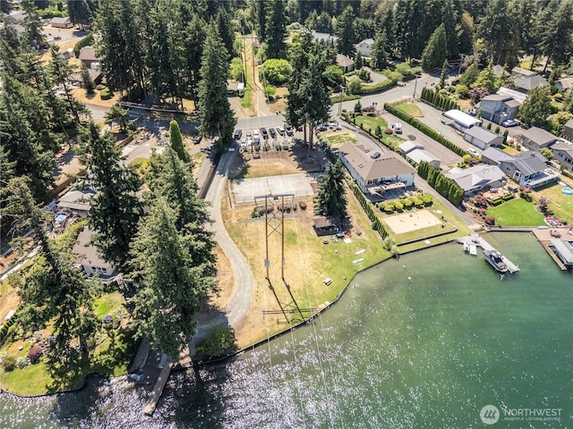 2006 Tacoma Point Dr E, Lake Tapps, WA 98391 - photo 39