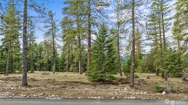 88 Wanawish Loop, Cle Elum, WA 98922 - photo 1