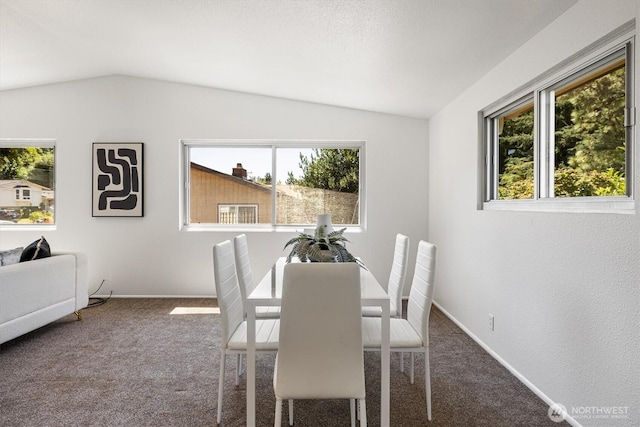 21411 14th Ave S, Des Moines, WA 98198 - photo 10