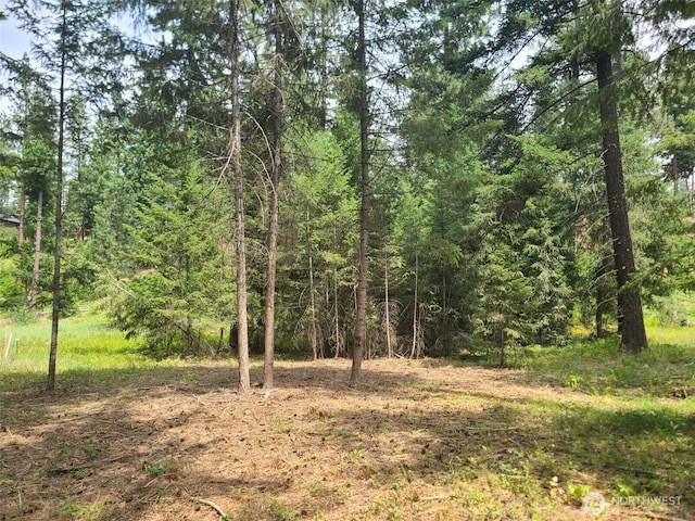 53 Wanawish Loop, Cle Elum, WA 98922 - photo 2