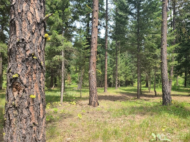 53 Wanawish Loop, Cle Elum, WA 98922 - photo 3