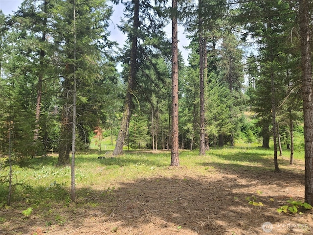 53 Wanawish Loop, Cle Elum, WA 98922 - photo 4