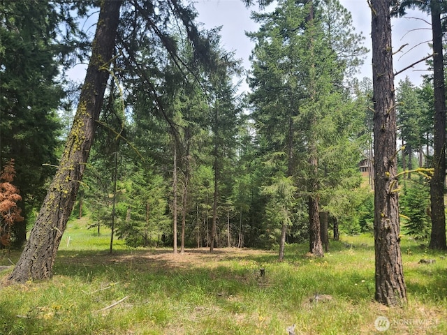 53 Wanawish Loop, Cle Elum, WA 98922 - photo 5