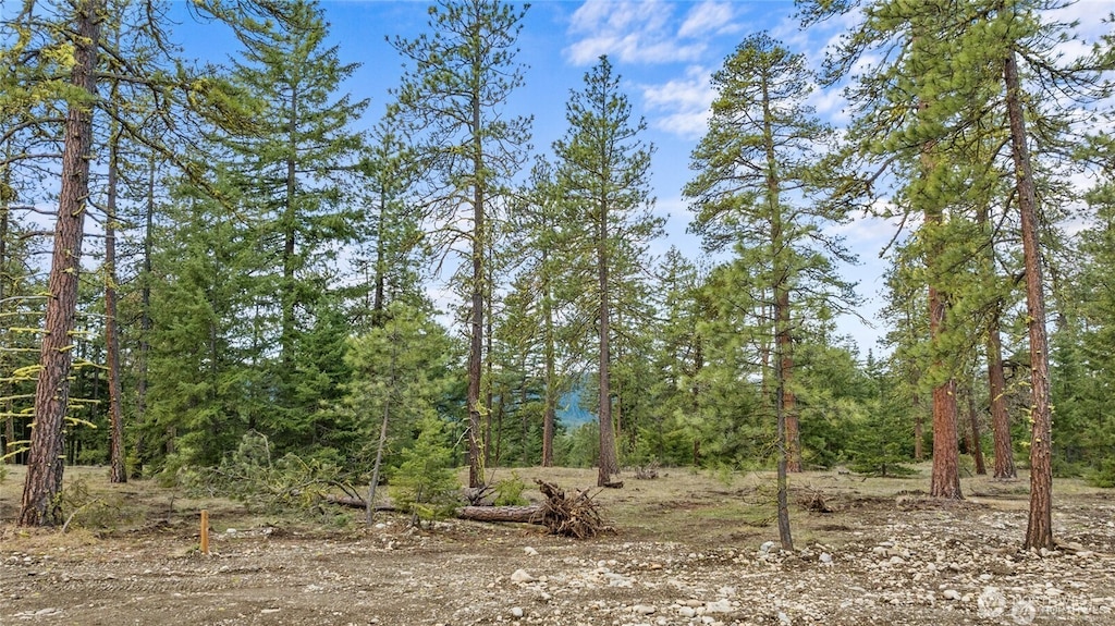104 Wanawish Loop, Cle Elum, WA 98922 - photo 1