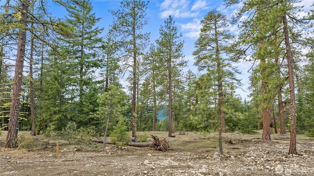 104 Wanawish Loop, Cle Elum, WA 98922 - photo 1