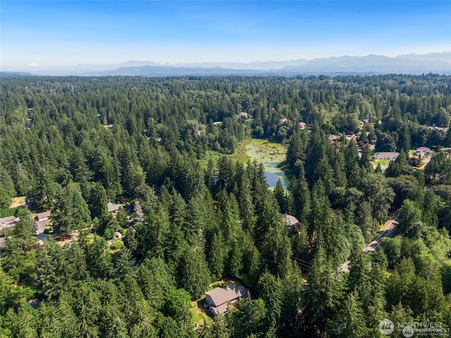 23732 NE 63rd Pl, Redmond, WA 98053 - photo 35