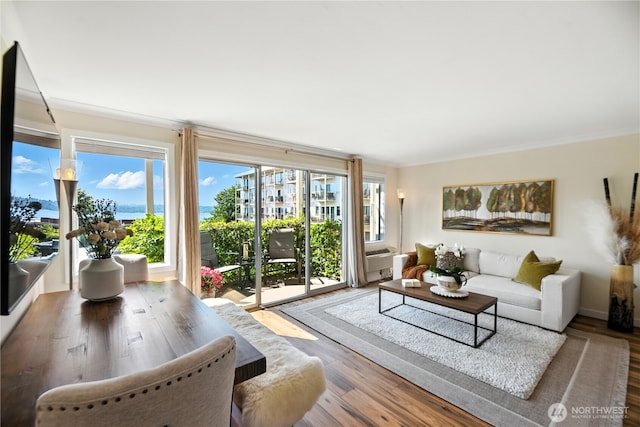 201 2nd St S Unit 212, Kirkland, WA 98033 - photo 3
