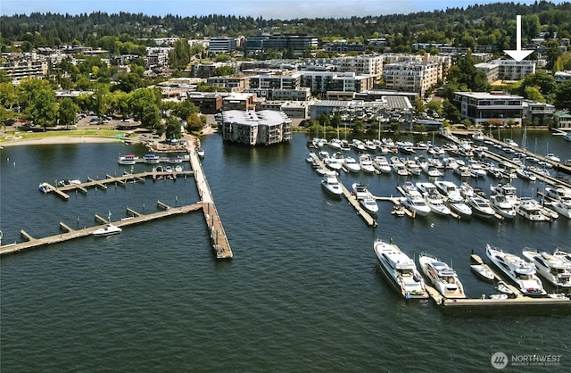 201 2nd St S Unit 212, Kirkland, WA 98033 - photo 16