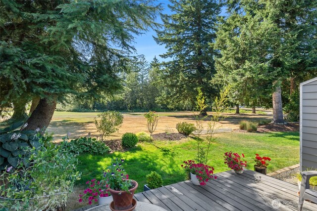25021 Lake Wilderness Cc Dr SE, Maple Valley, WA 98038 - photo 29