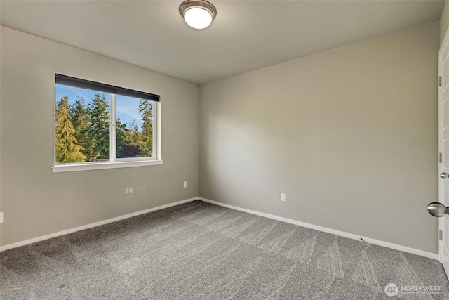 8001 184th Ave E, Bonney Lake, WA 98391 - photo 25