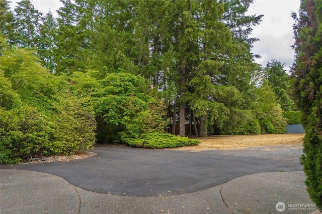 26210 48th Avenue Ct E, Spanaway, WA 98387 - photo 37