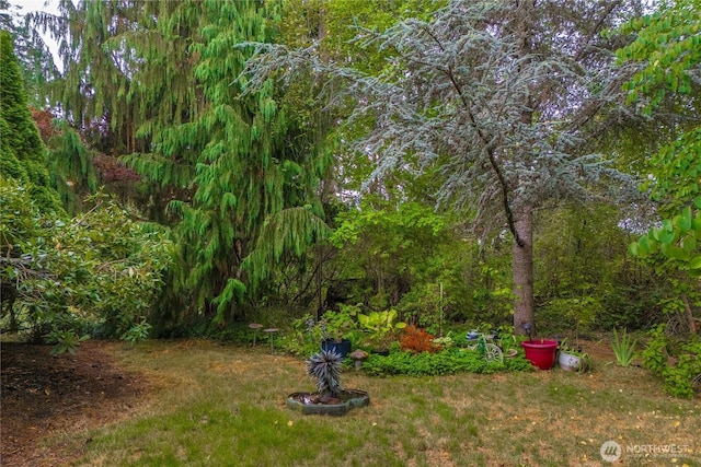 26210 48th Avenue Ct E, Spanaway, WA 98387 - photo 39