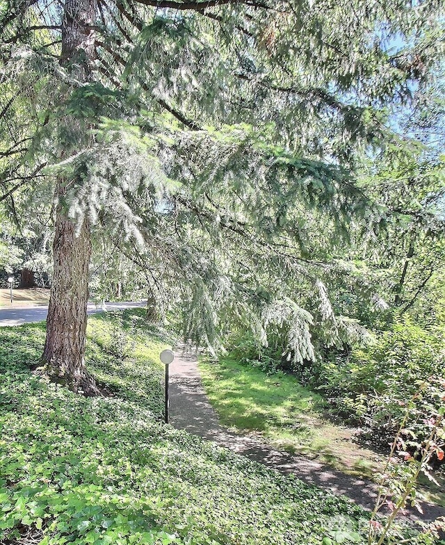20911 114th Pl SE Unit 35, Kent, WA 98031 - photo 29