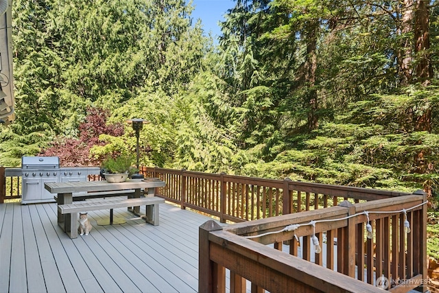 25832 SE 152nd St, Issaquah, WA 98027 - photo 17