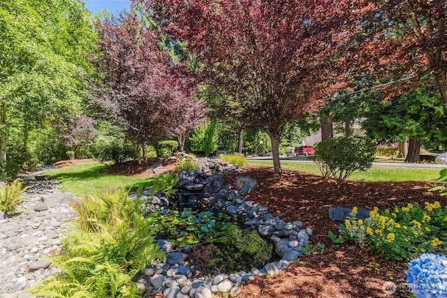 6441 Holland Rd NW, Bremerton, WA 98311 - photo 7