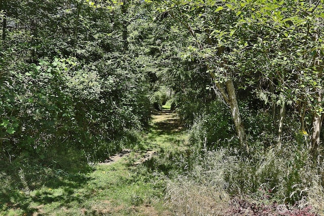 1677 Lancaster Rd, Freeland, WA 98249 - photo 38
