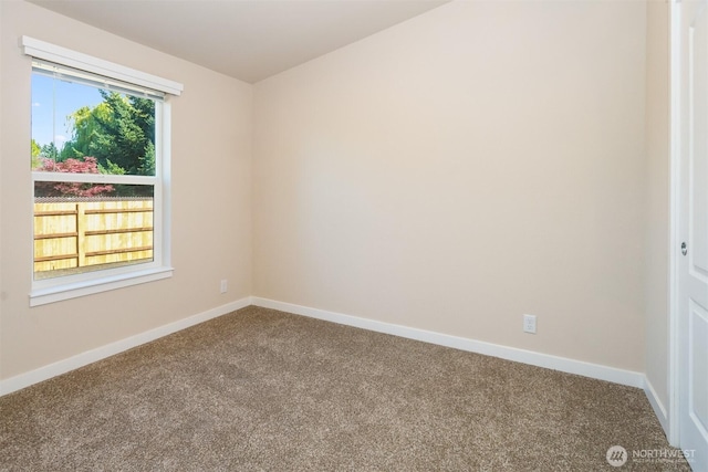 3340 Pine St, Longview, WA 98632 - photo 11