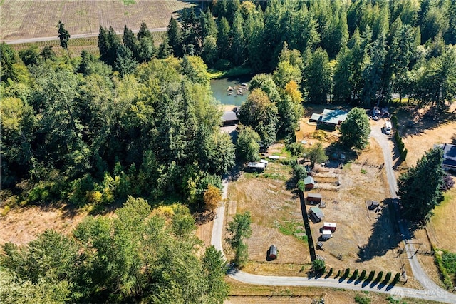 9317 359th St S, Mckenna, WA 98558 - photo 37