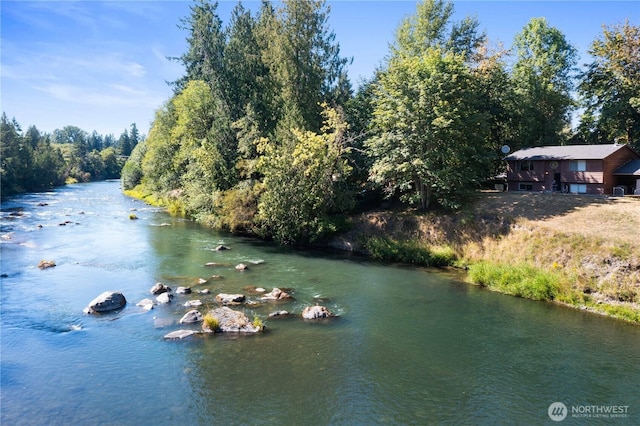 9317 359th St S, Mckenna, WA 98558 - photo 3