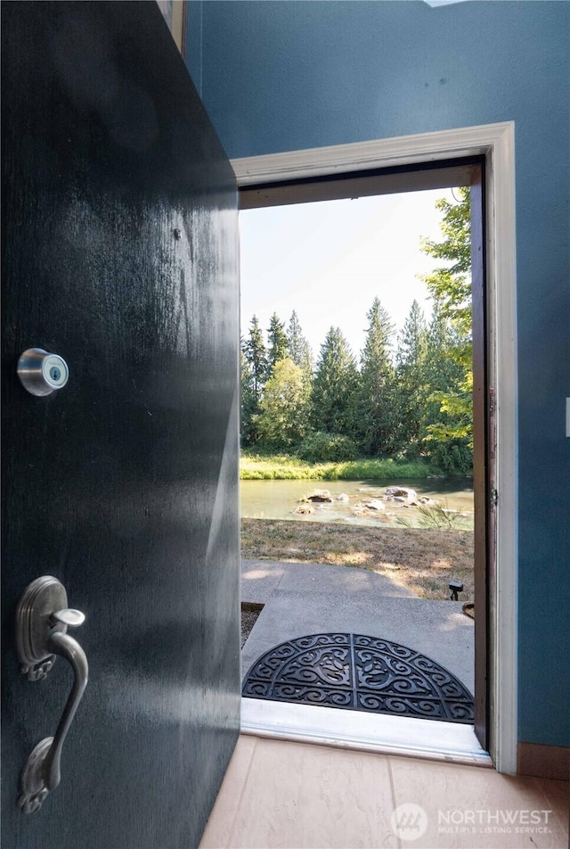 9317 359th St S, Mckenna, WA 98558 - photo 6