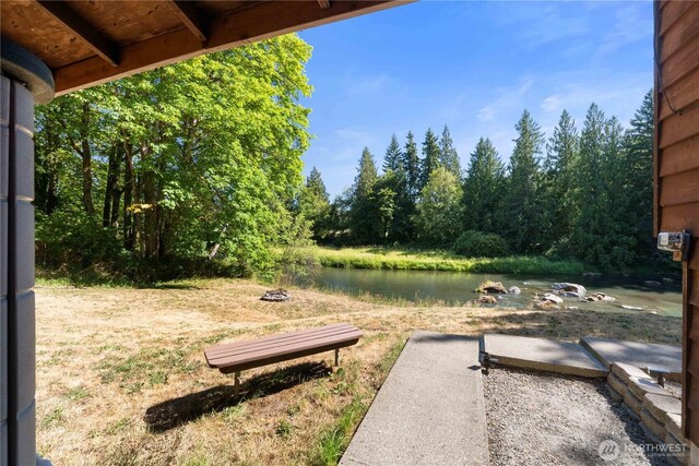 9317 359th St S, Mckenna, WA 98558 - photo 28