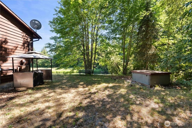 9317 359th St S, Mckenna, WA 98558 - photo 39