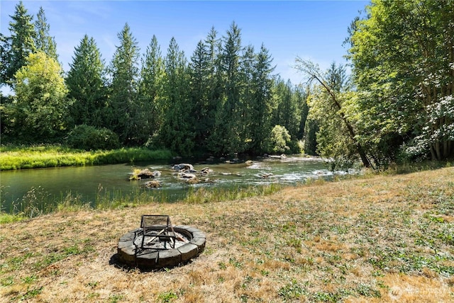 9317 359th St S, Mckenna, WA 98558 - photo 30