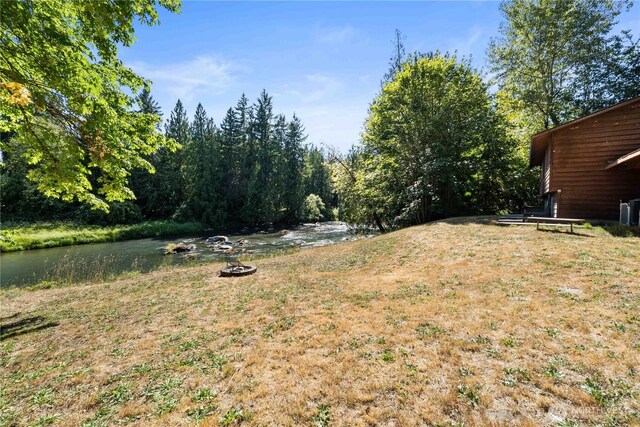 9317 359th St S, Mckenna, WA 98558 - photo 34
