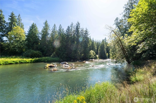 9317 359th St S, Mckenna, WA 98558 - photo 31