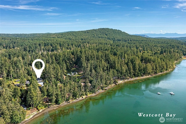 295 Westcott Dr, Friday Harbor, WA 98250 - photo 5