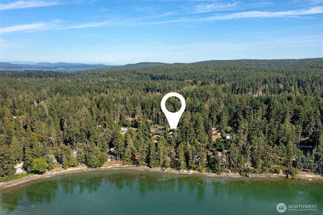 295 Westcott Dr, Friday Harbor, WA 98250 - photo 20