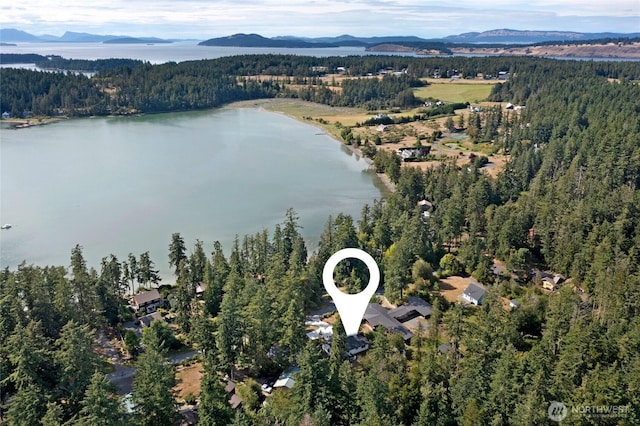 295 Westcott Dr, Friday Harbor, WA 98250 - photo 15