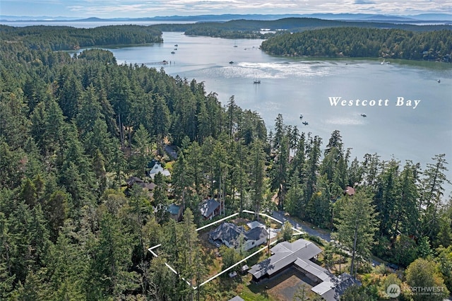 295 Westcott Dr, Friday Harbor, WA 98250 - photo 2