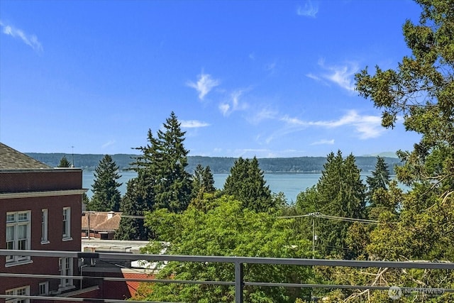 4307 SW Frontenac St Unit A, Seattle, WA 98136 - photo 19