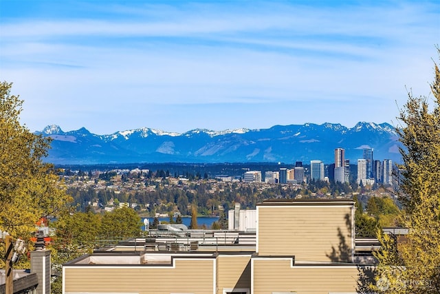 1715 17th Ave, Seattle, WA 98122 - photo 19